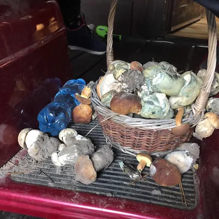 Nyaraló Dom Letniskowy Różan