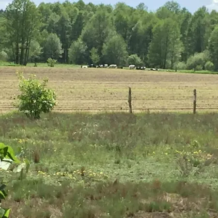 Dom Letniskowy 度假居 *