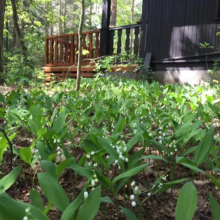 Dom Letniskowy Nyaraló